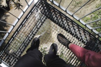 A platform above a valley in Bavaria