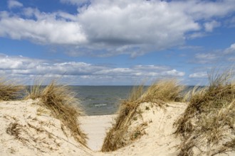 Beach view
