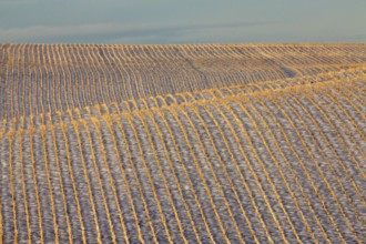 Saskatchewan plains winter extreme cold prairie scenic