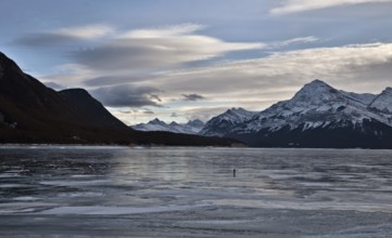 Abraham Lake Winter Ice formations bubbles design