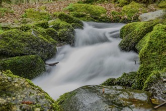 Gentle stream of water between green mossy rocks in the forest, Perlbach valley near Bogen, Lower