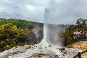 VALLEY OF GEYSERS ROTOROU, NEW ZEALAND - MARCH 24, 2018. The famous Lady Knox geyser