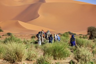 Group of people and camels standing in sandy desert landscape with vegetation, Tuareg with his