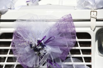 Detail with pink bowl of a French wedding car