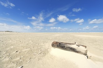 Wooden pole at the beach of Dutch wadden island Terschelling