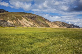 The picturesque valley in national park Landmannalaugar. Summer in Iceland. Green grass among