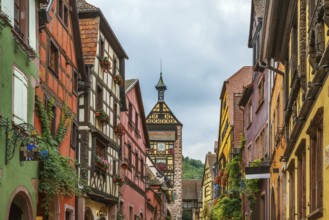 Main street with historical houses in Riquewihr, Alsace, France, Europe