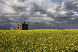 Storm Clouds Canada rural countryside Prairie Scene