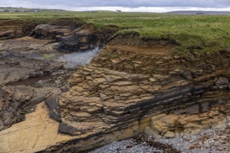 Tilted Devonian sandstone layers, sheltered bay of Skiba Geo, Northside, Mainland Orkney, Scotland,