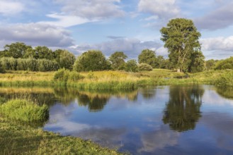 Trave river near Bad Oldesloe in Schleswig-Holstein, Germany, with reflection of the sky and the