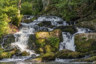 Pictures of the Selke waterfall in the Selke valley Harz near Alexisbad Harzgerode