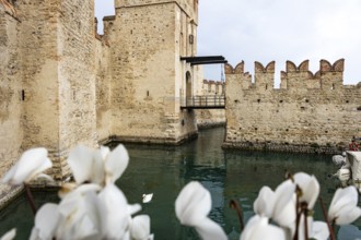 Pictures from Sirmione Lake Garda Italy