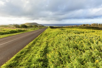 Road in Easter Island, Rapa Nui. Chile. Amazing place