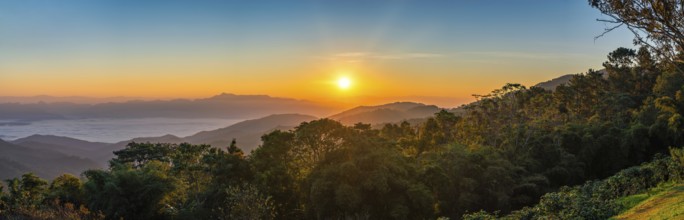 Tropical forest nature landscape with mountain range sunrise with moving cloud mist, Chiang Mai