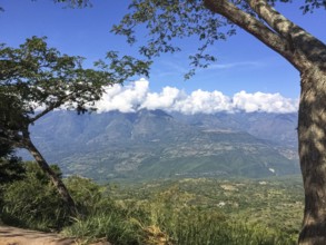 Tree framed view into a green valley and mountains with white clouds and blue sky, Barichara,
