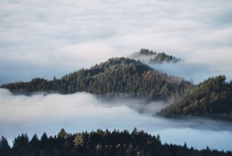 Northern Black Forest, Baden-Württemberg, Germany, A mountain ridge rises out of dense clouds of