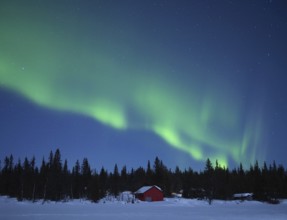 Northern lights