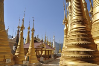 Pagoda field at inle lake, burma