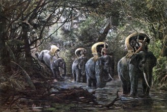 Dr Paul Neis undertook a scientific mission to Cochinchina and Laos on behalf of the French