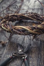 Cut grape branches twisted into crown manually
