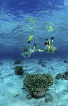 Two woman snorkelling, Bali, Indian Ocean, Indonesia, Asia