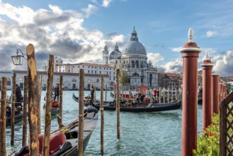 View of Santa Maria della Salute in Dorsoduro District from San Marco District, Venice, Italy,