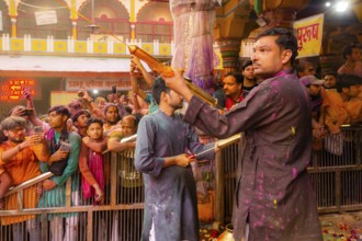 Holi Festival of Colors in Shri Krishna Temple in Mathura, India, Asia