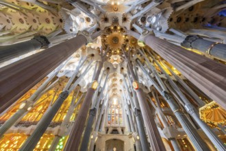 Barcelona, Spain, April 7, 2023: Interior of La Sagrada Familia cathedral, designed by Gaudi, it is