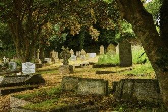 Cemetery with old gravestones under shady trees. St Wynwallow Churchyard, The Lizard, Cornwall,