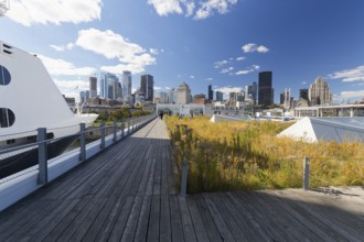 View on the city from the cruise ship terminal, Old Port, Montreal, Province Quebec, Canada, North