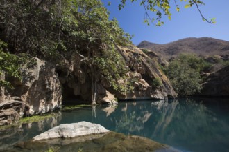 Ayn Sahnawt, Salalah, Oman, Asia