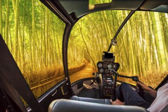 Helicopter cockpit inside the cabin flying in surreal bamboo grove at Sagano in Arashiyama, sunlit.