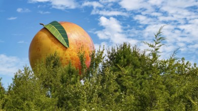 The Peachoid, a 135-foot water tower in Gaffney, SC, resembles a peach and holds 1 million gallons.