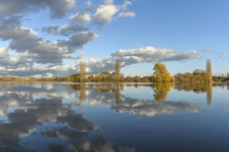 Flooded meadow after heavy rains. Autumn landscape. Bas-Rhin, Collectivite europeenne d'Alsace,