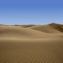 Desert dunes sand in Maspalomas Oasis Gran Canaria at Canary islands