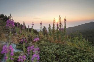Sunrise in the mountain. Bulgaria, Rila mountain