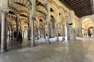 La Mezquita, Mosque, Cathedral of Cordoba, Cordoba, Andalusia, Spain, Europe, Interior with arches