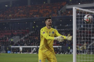 Goalkeeper Nikola Vasilj (FC St. Pauli Bosnia-Herzegovina) conceded 7 goals in the UEFA Nations