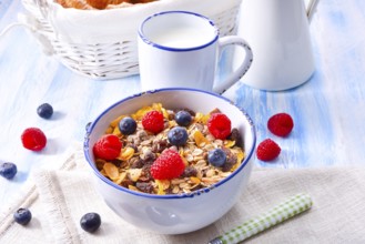 Muesli breakfast menu with forest fruits