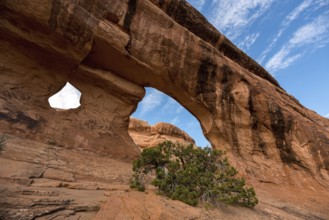 Great view on the Partition Arch in the Arches National Park, USA, North America