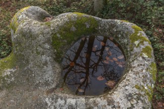 Celtic rock, rock with cups on the rock trail. Dieffenthal, Bas-Rhin, Alsace, Grand Est, France,