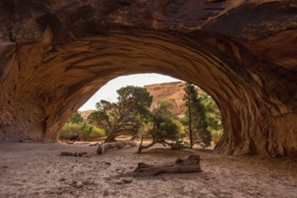 Giant Navajo Arch in the Arches National Park, USA, North America