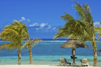 Mauritius beach landscape