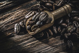 Wholegrain coffee seeds in scoop on wooden board