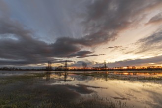 Trees reflecting in the water at sunset. Winter landscape red and orange sky. Bas-Rhin, Alsace,