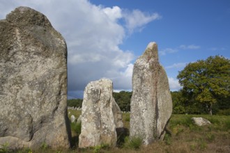 Menhirs, near Carnac, Brittany, France, Europe