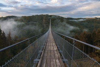 View of a suspension bridge in Germany, Geierlay