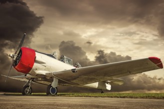historical airplane on a runway