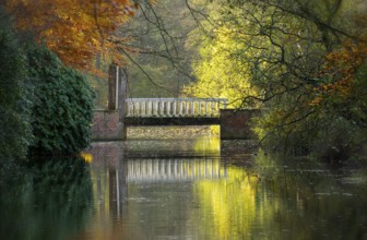 Autumn lighT