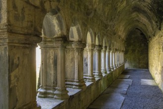 Quin Abbey, Clare, Ireland, Europe